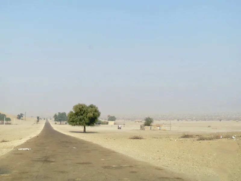 Cultivated patches in the Thar Desert near the India–Pakistan border.