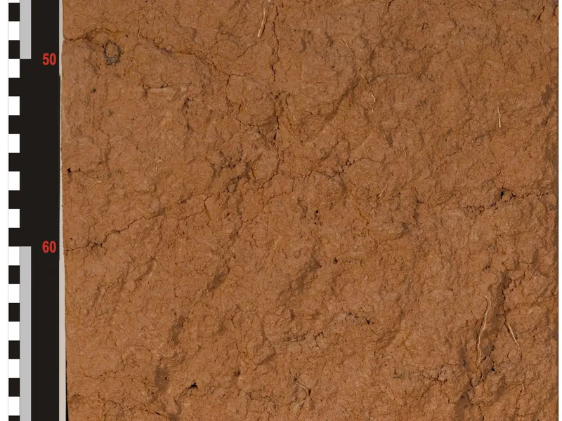 Soil monolith — Lixisol (red-soil order) from Karnataka, ISRIC reference collection.